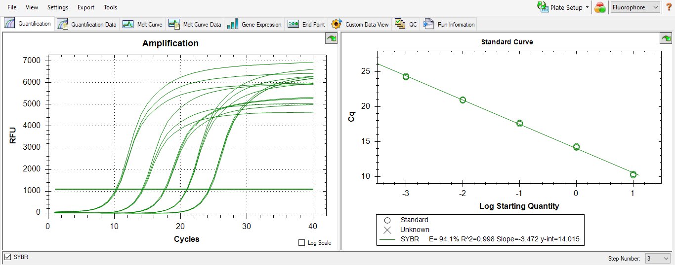 Example amplification curve for standards and standard curve.